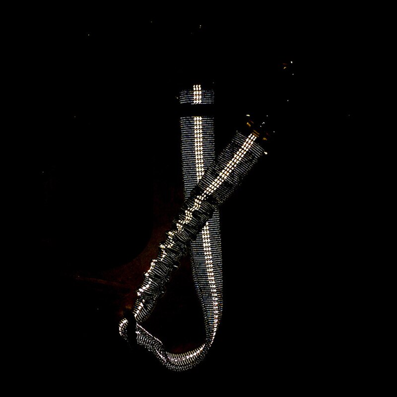 Dog Safety Clip For Seatbelt Buckle