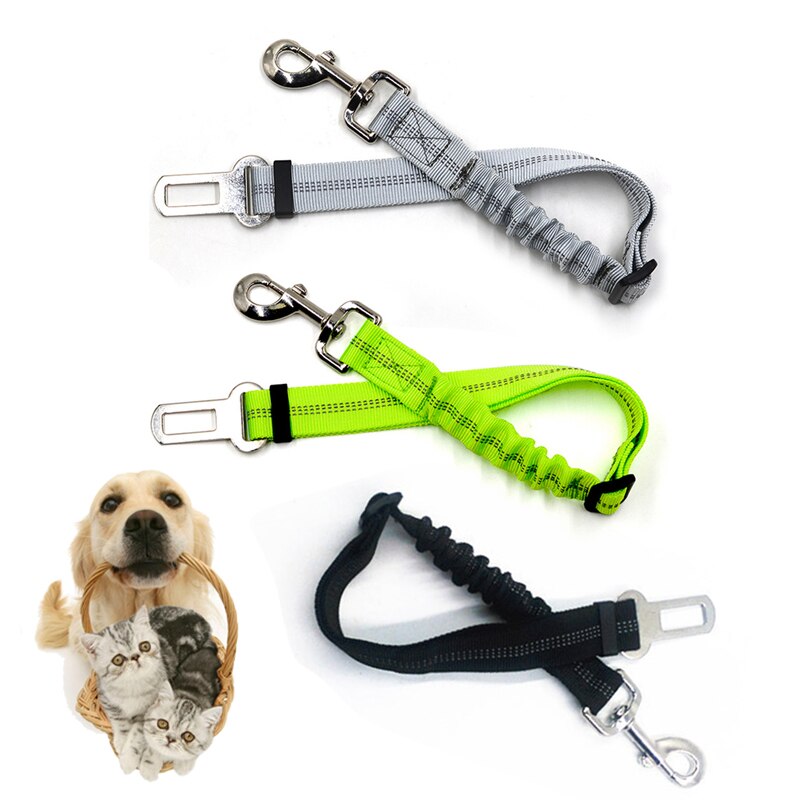 Dog Safety Clip For Seatbelt Buckle